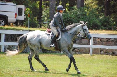 Sky Blue, ridden by Fiona Marques, makes a turn on the course. 
