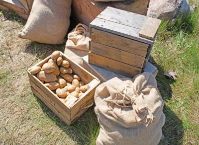 Food props wait on set. 