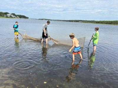 Kids use a net to collect fish and other water dwellers.