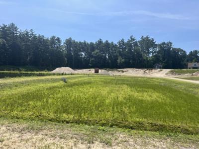 One of the bogs at the farm is exclusively used for visitors to wade in. 
