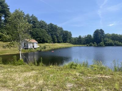 The farm sources the water it uses to flood bogs from its pond. 