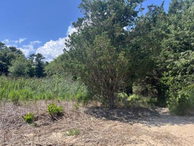 User-submitted photos will help the Sippican Lands Trust track changes at each location. 