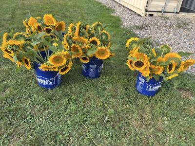 Elliot Farm, in Lakeville, donated buckets of flowers. 