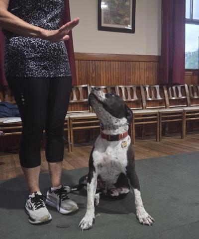Sherry Cowan instructs her dog Theo.