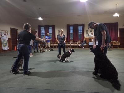 Dog trainer Sherri Swindle instructs Sherry Cowan, of Middleboro, in leading her dog, Theo, in a “figure eight” path. She acts as a “post” with Bill McDermott, from Middleboro, and dog Bear to create a reference for the path.
