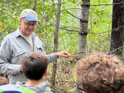 They estimated trees' ages by taking a core sample.
