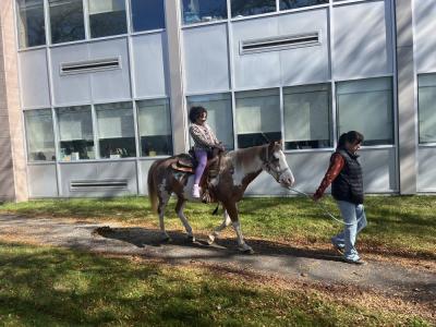 Leilana Daggett, 8, enjoys a pony ride. 