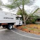 The vehicle crashed into a roadside tree, causing the tree to fall onto the home. Photo by: David Curran.