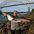 Doherty holds up a 30-pound striped bass beneath the Bourne Bridge along the Cape Cod Canal.