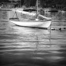 "Calm Waters" captures a quiet moment in the water.