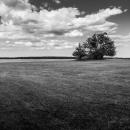 "Great Hill" captures the openness of the town.