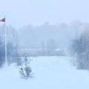 Snow fills the back yard of a Mattapoisett house. Photo source: Mary Dermody