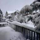 Over a foot of snow covers the trees and yard at a Marion home, Photos source: Meg Albert