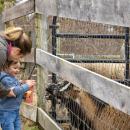 Jonathan enjoys his new friends. 