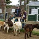 Visitors of all ages fed the animals. 