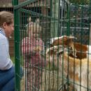Lainey Carlton, 2, feeds a cone to goats while her mother looks on. 