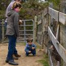 The Hurries came from Sandwich to feed the animals. 