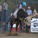 This rider getting bucked up.