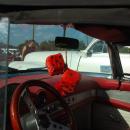 Many owners matched their rearview mirror decorations to the color of their car. 