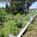Wire fencing sat along the side of the bridge. Photo by Nick Mossman