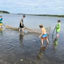 Kids use a net to collect fish and other water dwellers.