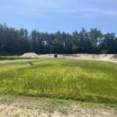One of the bogs at the farm is exclusively used for visitors to wade in. 