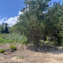 User-submitted photos will help the Sippican Lands Trust track changes at each location. 