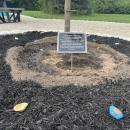 A plaque memorializes Madelyn, surrounded by painted rocks. 