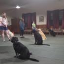 Suzanne Gentilhomme trains her dog Archie. “I love all the instruction that we get here, but also all the friends that we’ve made here,” Gentilhomme said.