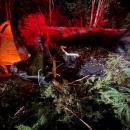 A dump truck crashed into the woods early Thursday morning. Photos source: Mattapoisett Fire Department