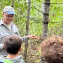 They estimated trees' ages by taking a core sample.