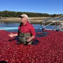 Woody Hartley, surrounded by cranberries, talks to a group visiting the farm Thursday, Oct. 15. Photos by Grace Roche