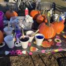 Pumpkins and paint line a table. 