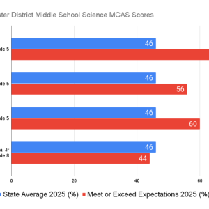 Old Rochester test scores compared to the state average