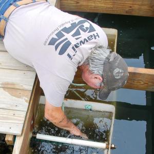 Dale Leavitt digs for oyster seed in the hatchery. 