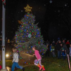 The Rochester Christmas tree was lit for all to see.