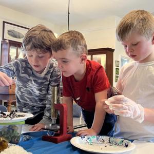 From left to right, Leo Oliver, Sawyer Fiske and Joseph Wirth inspect the wiggly worms on Mar. 19 at the Marion Natural History Museum. Photo by Brandy Muz