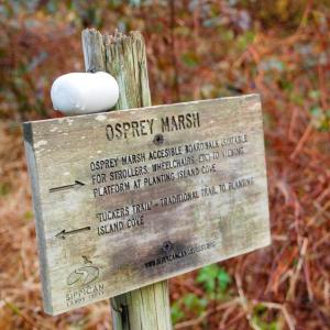 The Osprey Marsh sign made by the Sippican Land Trust.
