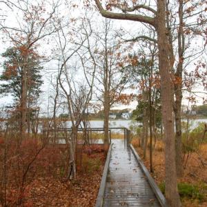The Osprey Marsh where the January forest walk will happen.