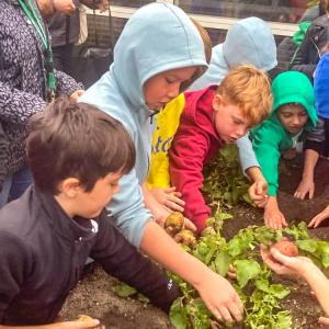 Students explore the dirt and plants they are growing. Source: Marion Institute 