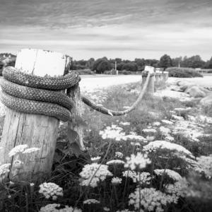 "Silvershell Beach" is pictured.