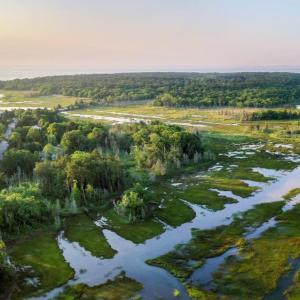 A new culvert will help protect the salt marshes around Molly's Cove. Photo source: Marc Anderson