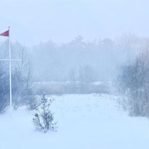Snow fills the back yard of a Mattapoisett house. Photo source: Mary Dermody
