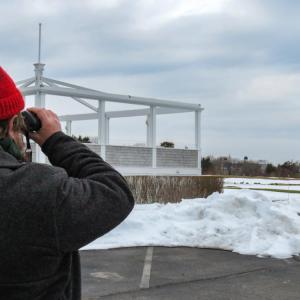 Harris sometimes helps lead lands trust events, especially nature walks. 