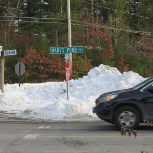 The parcels considered for rezoning lie along the border between Rochester and Wareham. Photo by Grace Roche