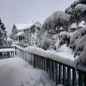 Over a foot of snow covers the trees and yard at a Marion home, Photos source: Meg Albert