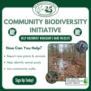 A graphic advertising the Wareham Land Trust's interest in finding sign ups for the Community Biodiversity Initiative. Details are in the post below