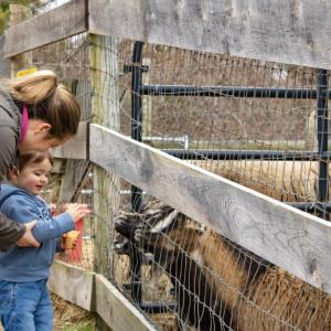 Jonathan enjoys his new friends. 