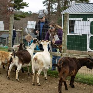Visitors of all ages fed the animals. 