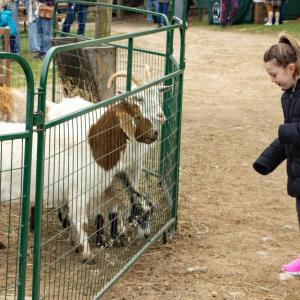Molly Wirth, 9, made sure none of the food other visitors dropped on the ground went to waste. 